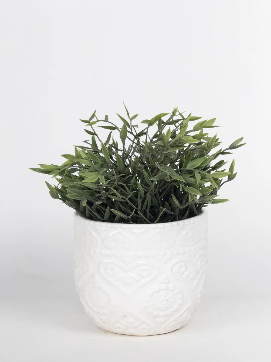 Classic Ceramic Planter — 6" Dia × 7" Height — Primary View