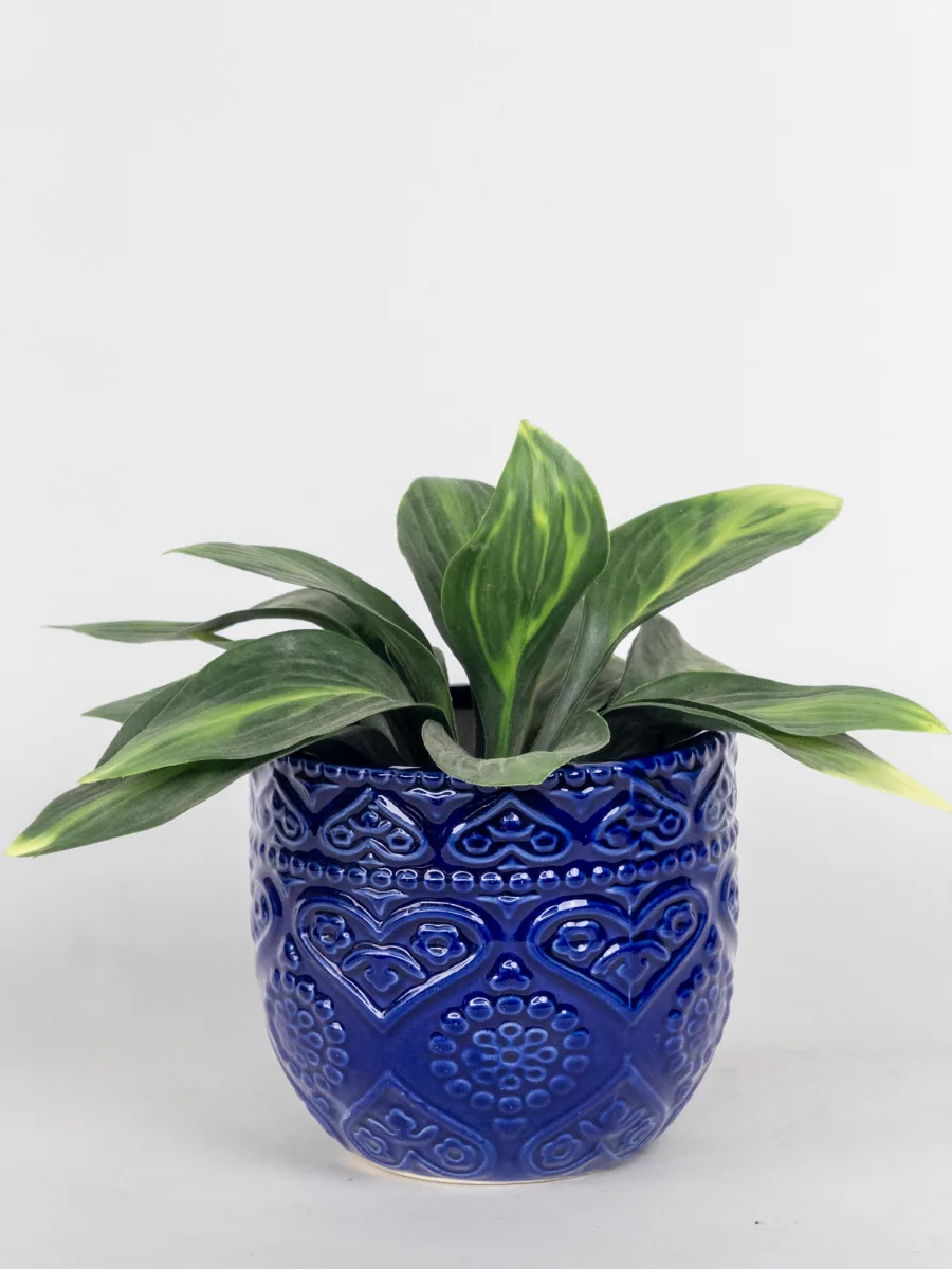Classic Ceramic Planter — 7" Dia × 3.5" Height — Primary View