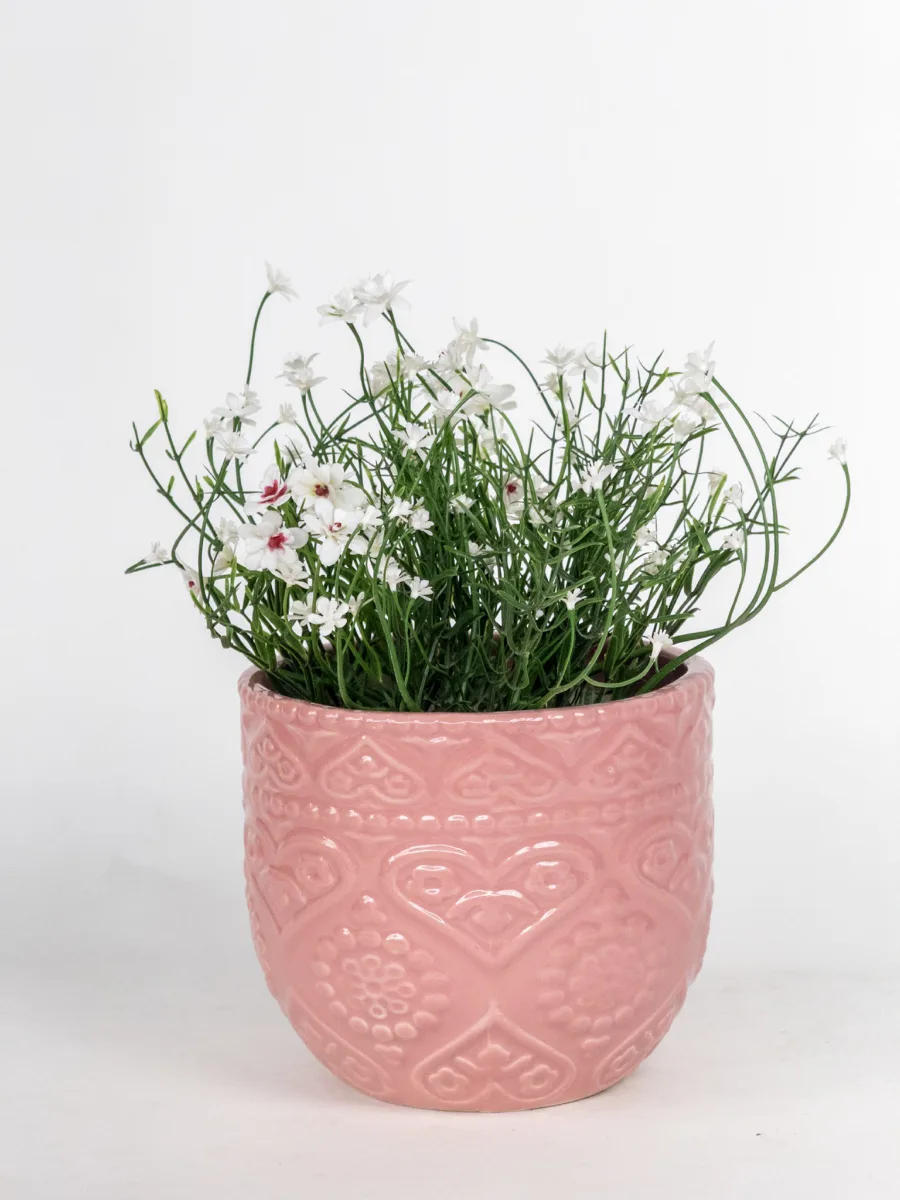 Classic Ceramic Planter — 9" Dia × 6" Height — Primary View
