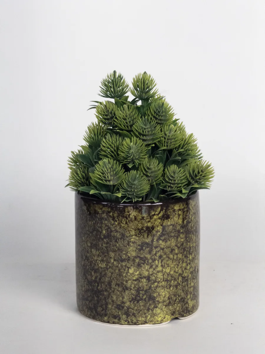 Classic Ceramic Planter — 8" Dia × 8" Height — Primary View
