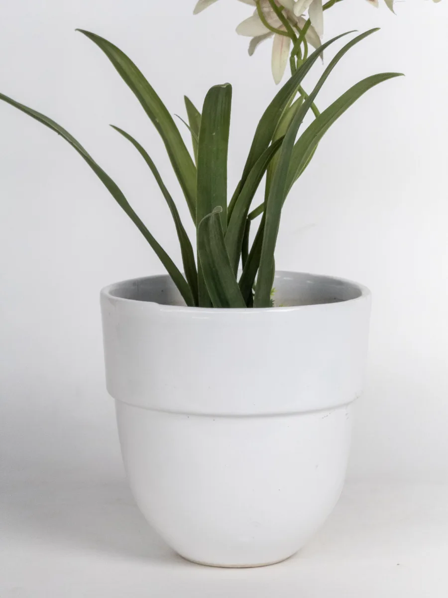 Classic Ceramic Planter — 8" Dia × 8" Height — Primary View