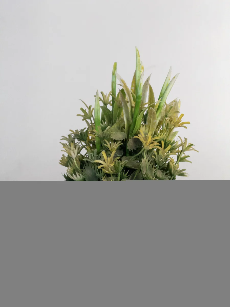 Classic Ceramic Planter — 8" Dia × 6" Height — Primary View