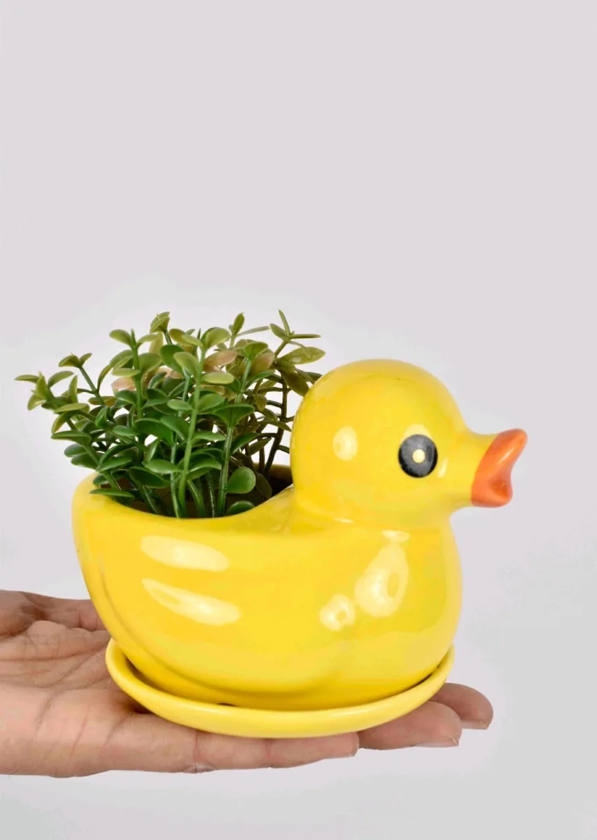 Classic Ceramic Planter — 5.5" Dia × 5" Height — Primary View