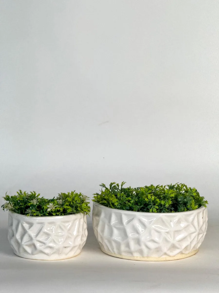 Classic Ceramic Planter — 4" Dia × 4.5" Height — Primary View