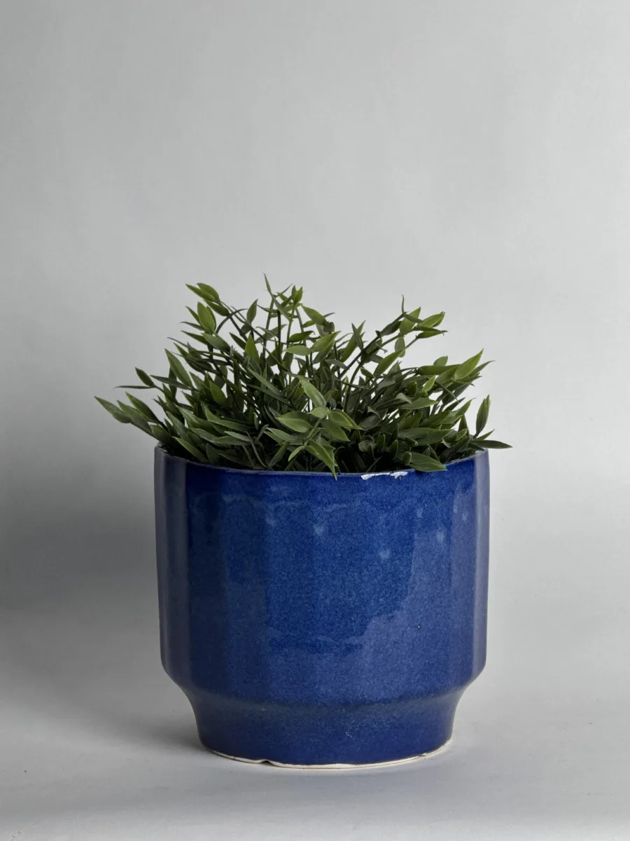 Classic Ceramic Planter — 5.5" Dia × 6" Height — Primary View