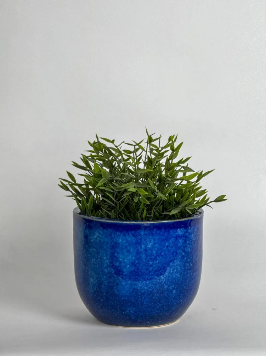 Classic Ceramic Planter — 4.5" Dia × 4" Height — Primary View