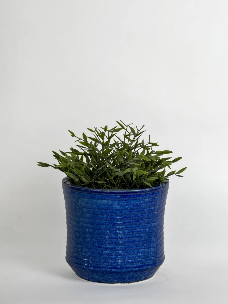Classic Ceramic Planter — 5" Dia × 5" Height — Primary View