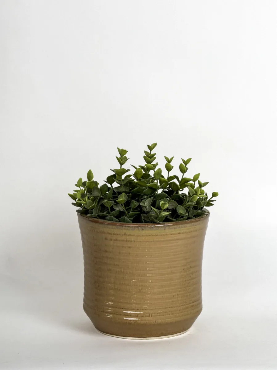 Classic Ceramic Planter — 7" Dia × 6" Height — Primary View