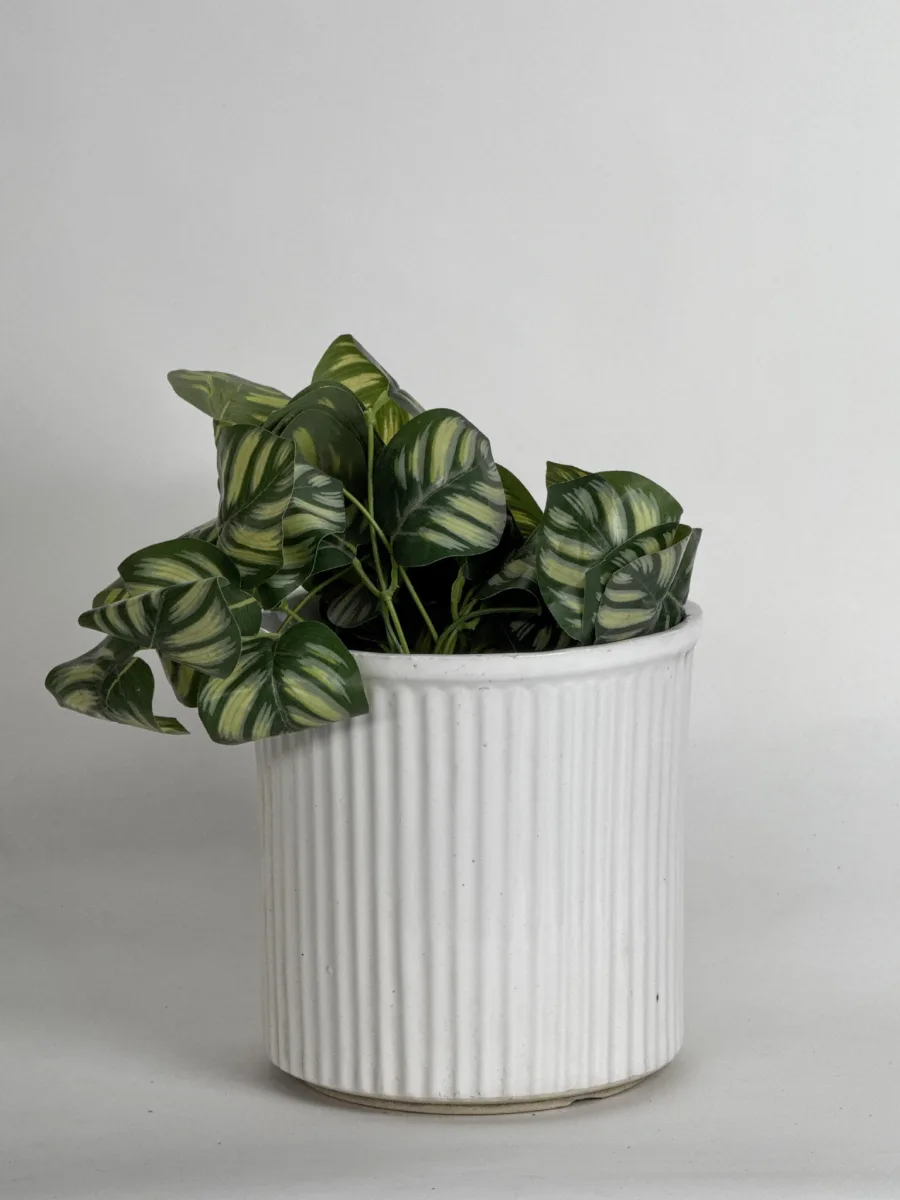 Classic Ceramic Planter Set of 2 (2" Dia) — Primary View