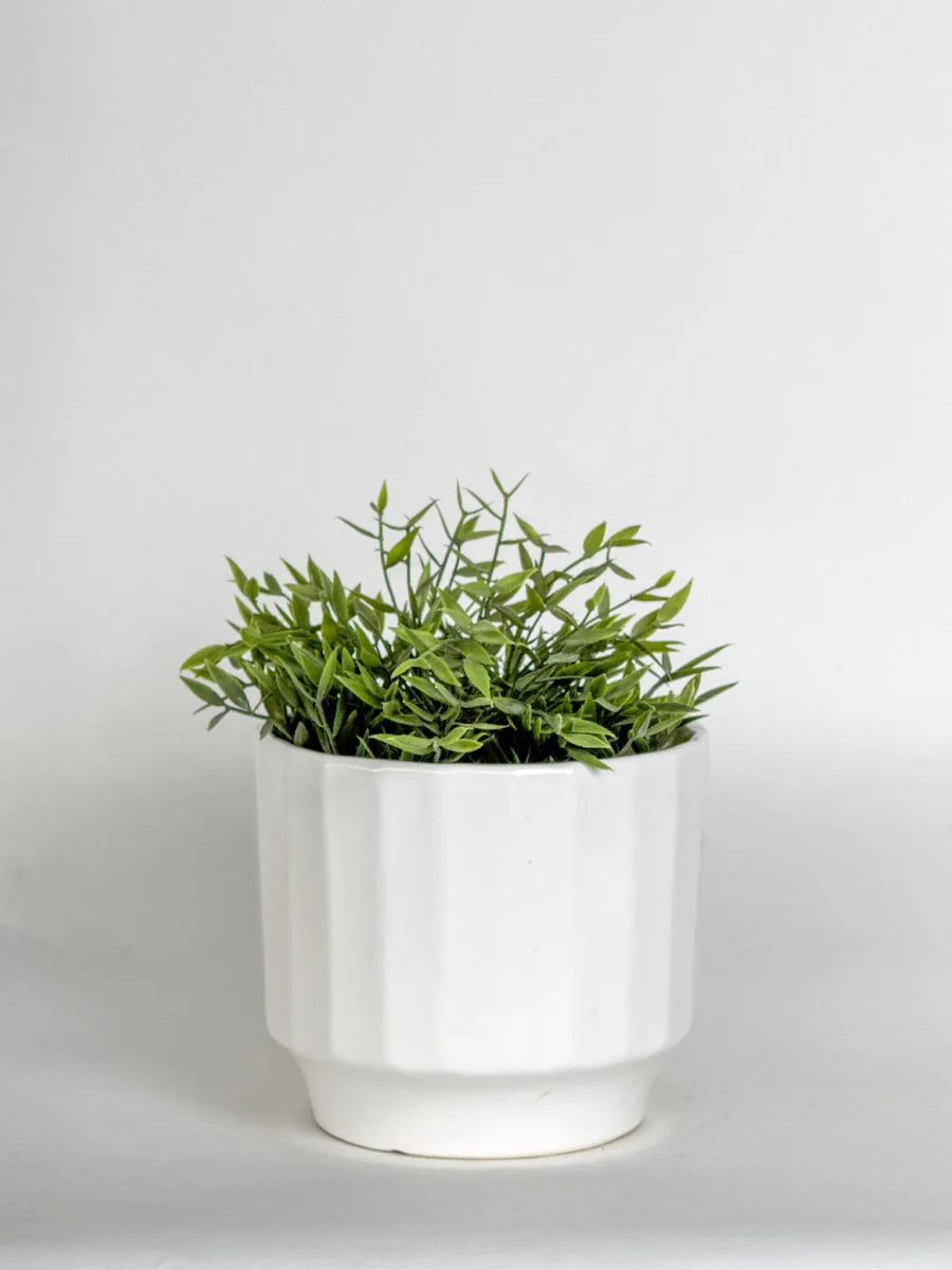 Classic Ceramic Planter — 7" Dia × 6" Height — Primary View