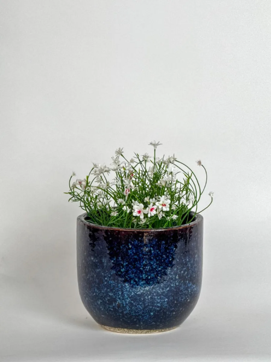 Classic Ceramic Planter — 8" Dia × 8" Height — Primary View