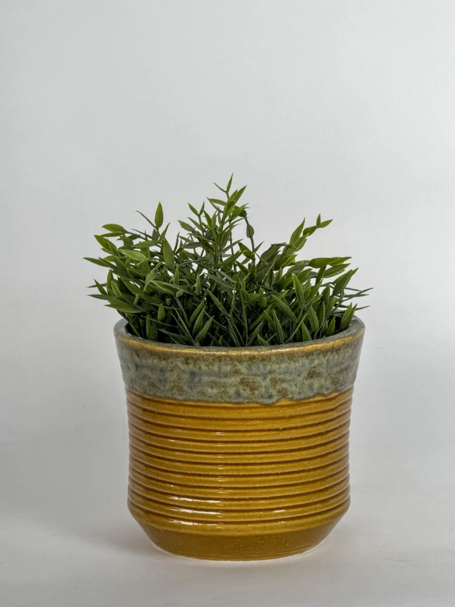 Classic Ceramic Planter — 7" Dia × 8" Height — Primary View