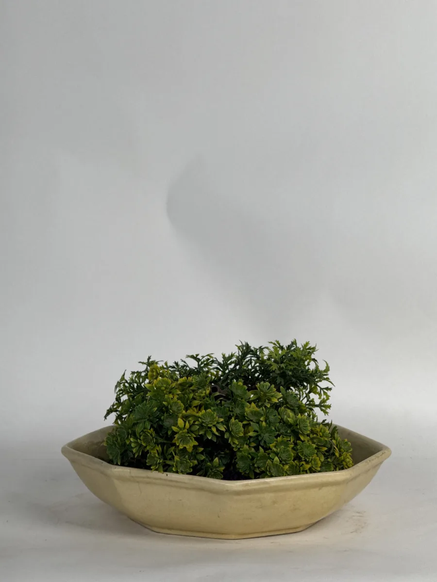 Classic Ceramic Planter — Primary View