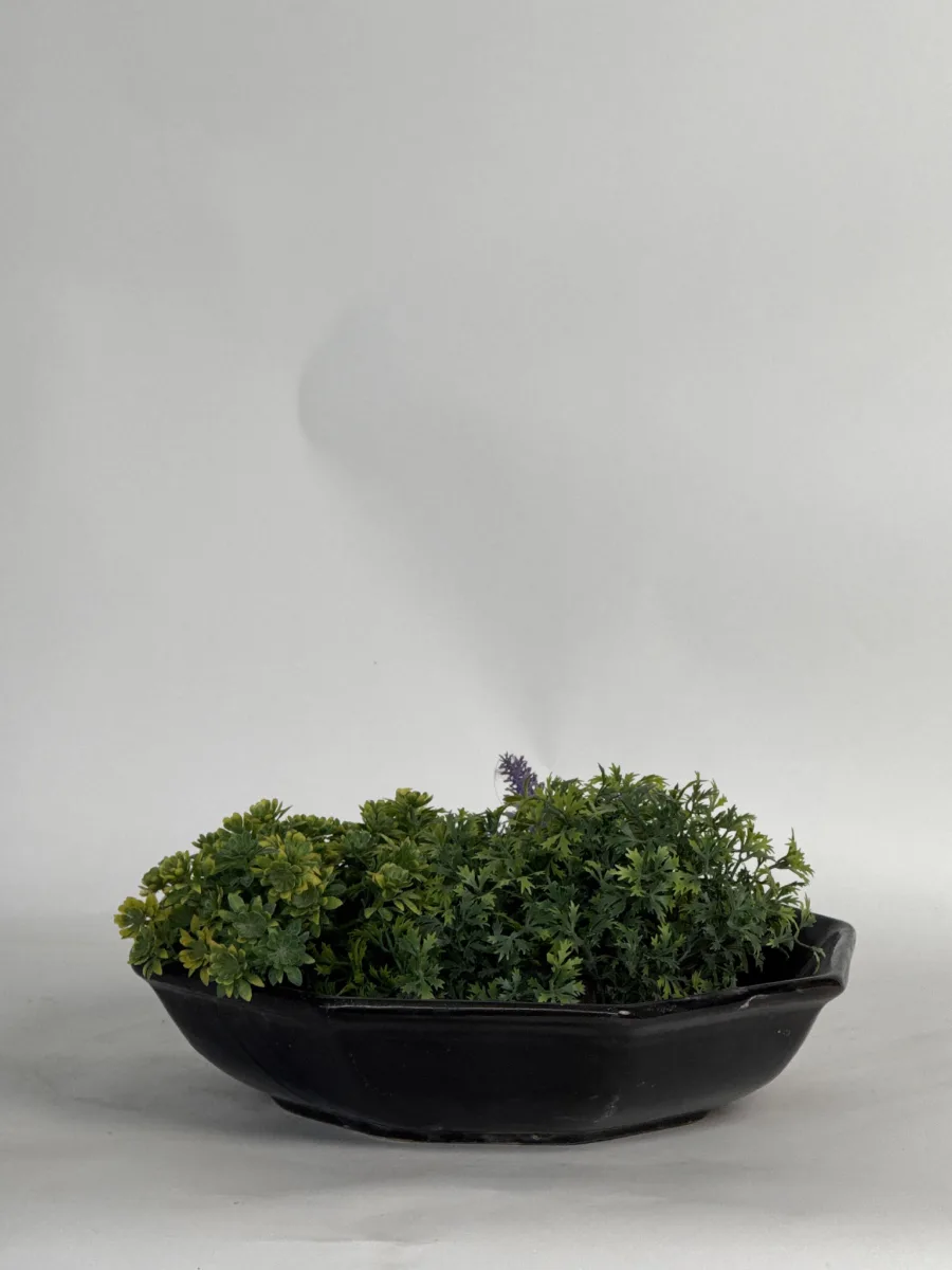 Classic Ceramic Planter — 10" Dia × 2" Height — Primary View
