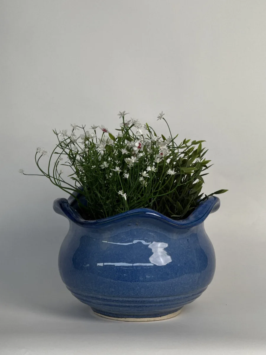 Classic Ceramic Planter — 7.5" Dia × 3" Height — Primary View