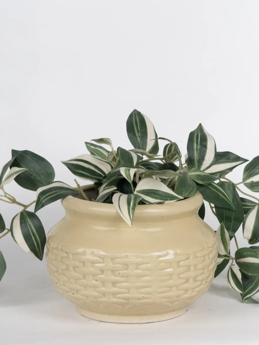 Classic Ceramic Planter — 9" Dia × 7" Height — Primary View