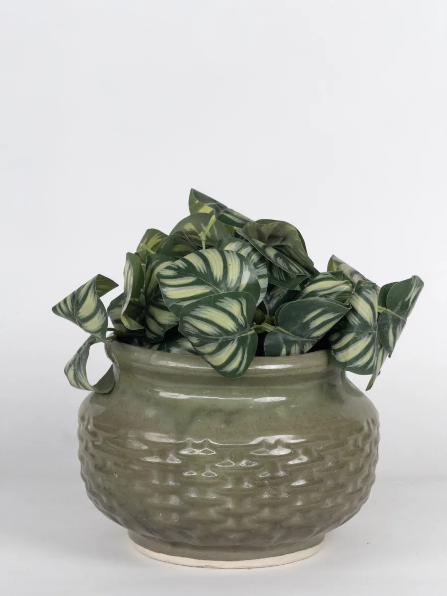 Classic Ceramic Planter — 9" Dia × 7" Height — Primary View