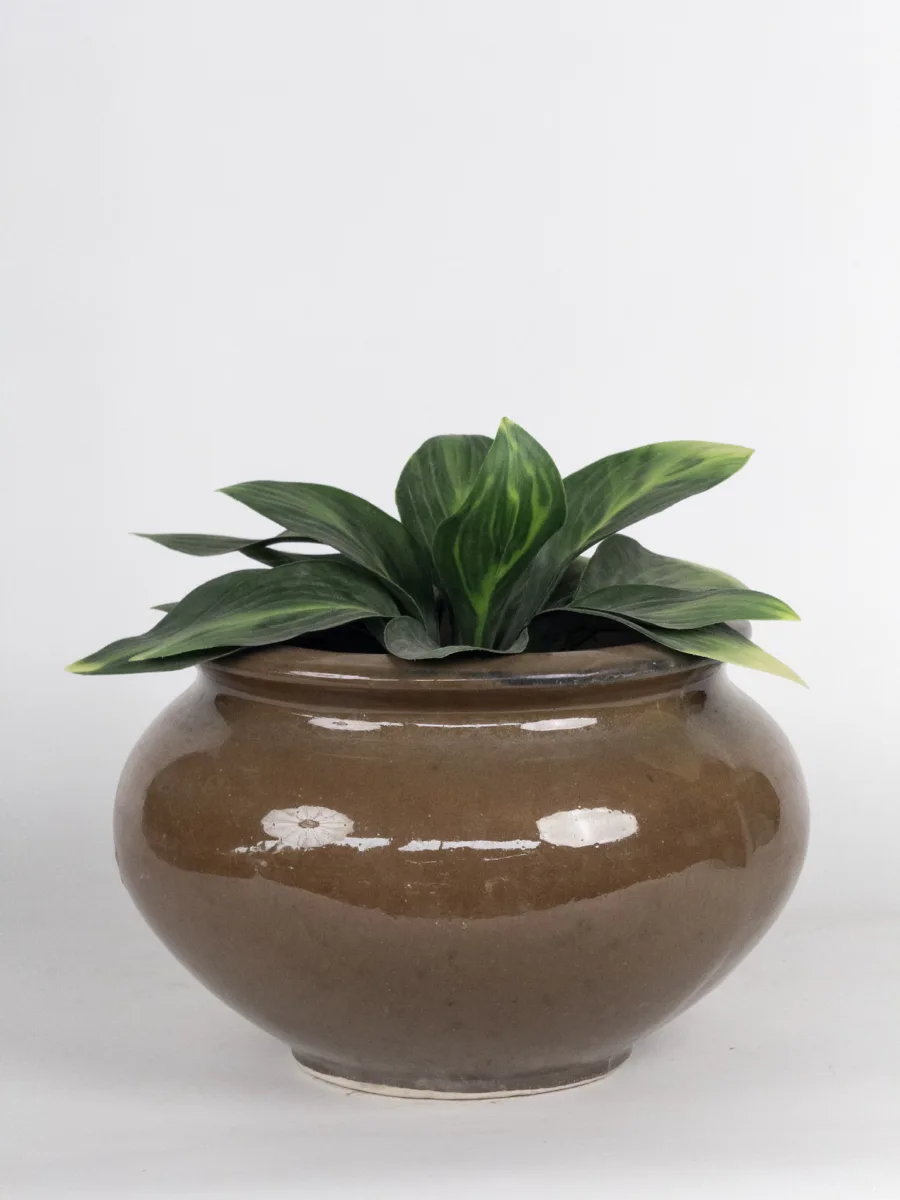 Classic Ceramic Planter — 9" Dia × 7" Height — Primary View