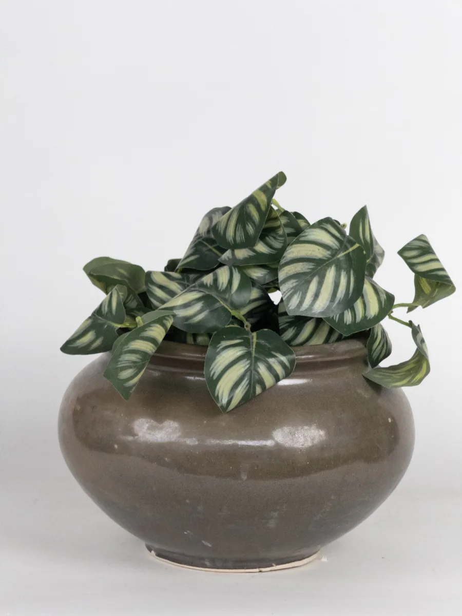 Classic Ceramic Planter — 9" Dia × 7" Height — Primary View