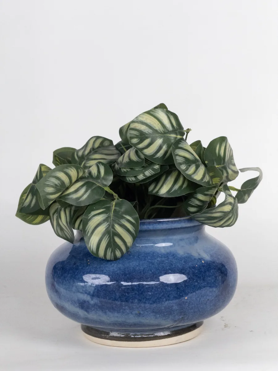 Classic Ceramic Planter — 10" Dia × 2" Height — Primary View