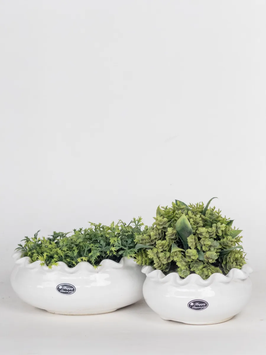 Classic Ceramic Planter — 8" Dia × 6" Height — Primary View