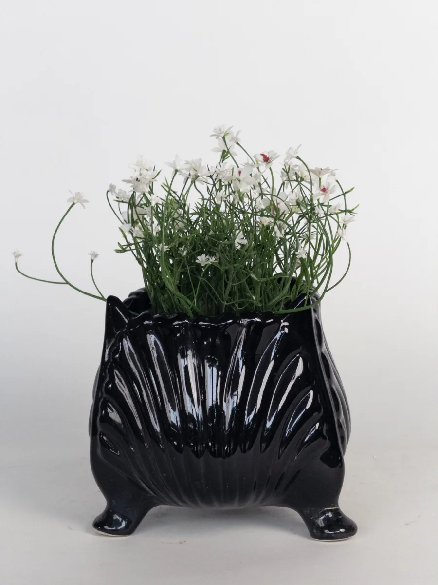Classic Ceramic Planter — 10" Dia × 7" Height — Primary View