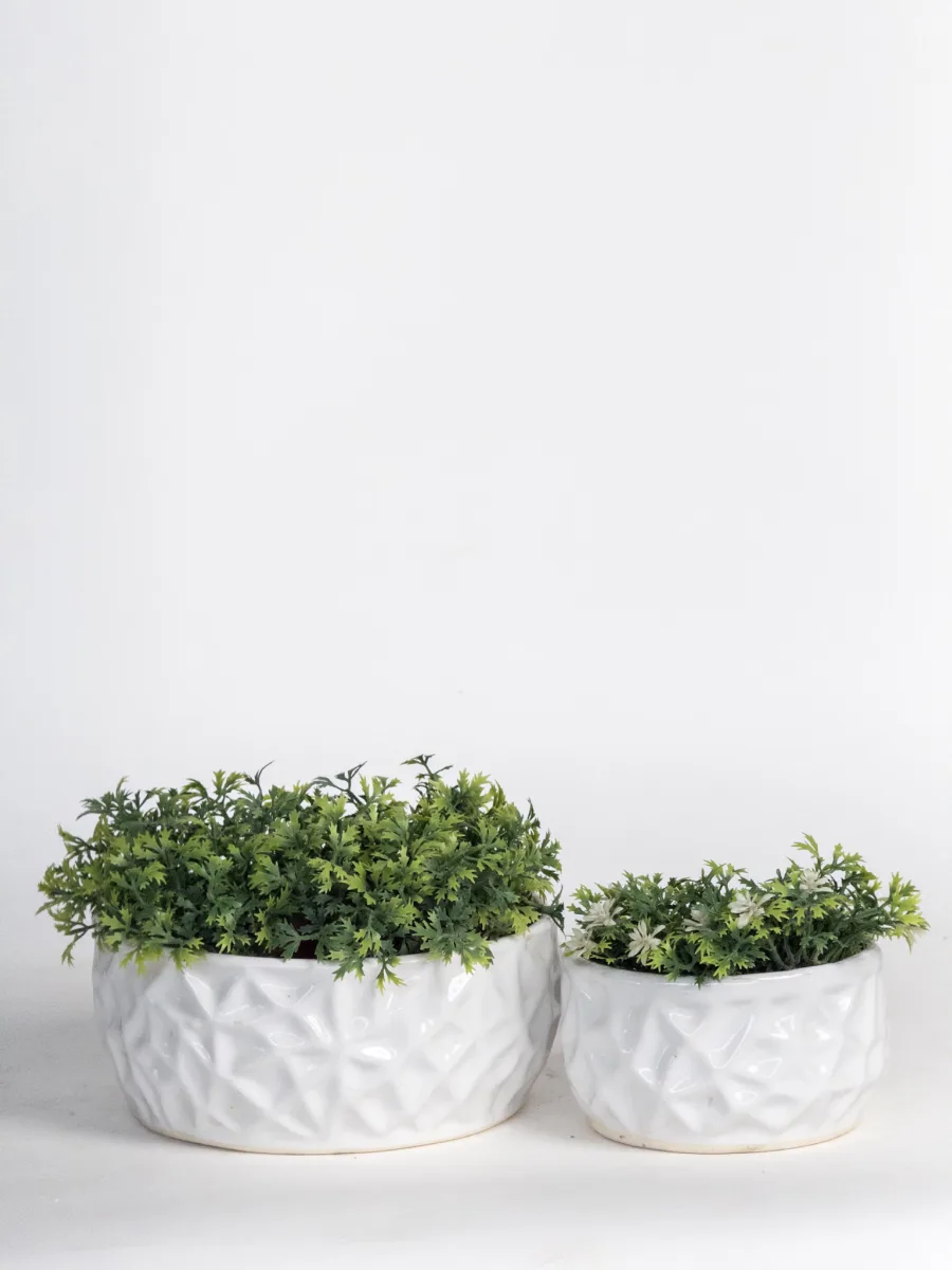 Classic Ceramic Planter — 9" Dia × 6" Height — Primary View