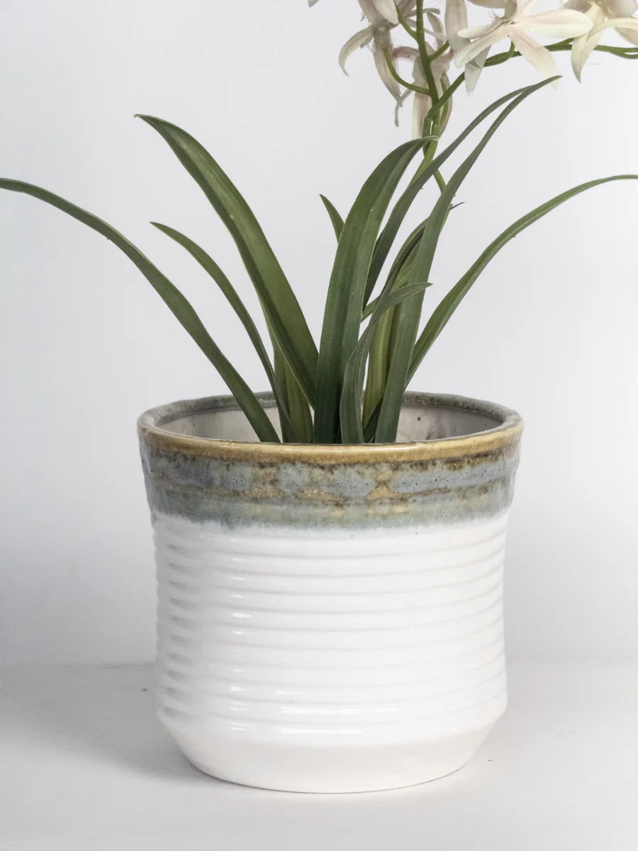 Classic Ceramic Planter — 9" Dia × 6" Height — Primary View