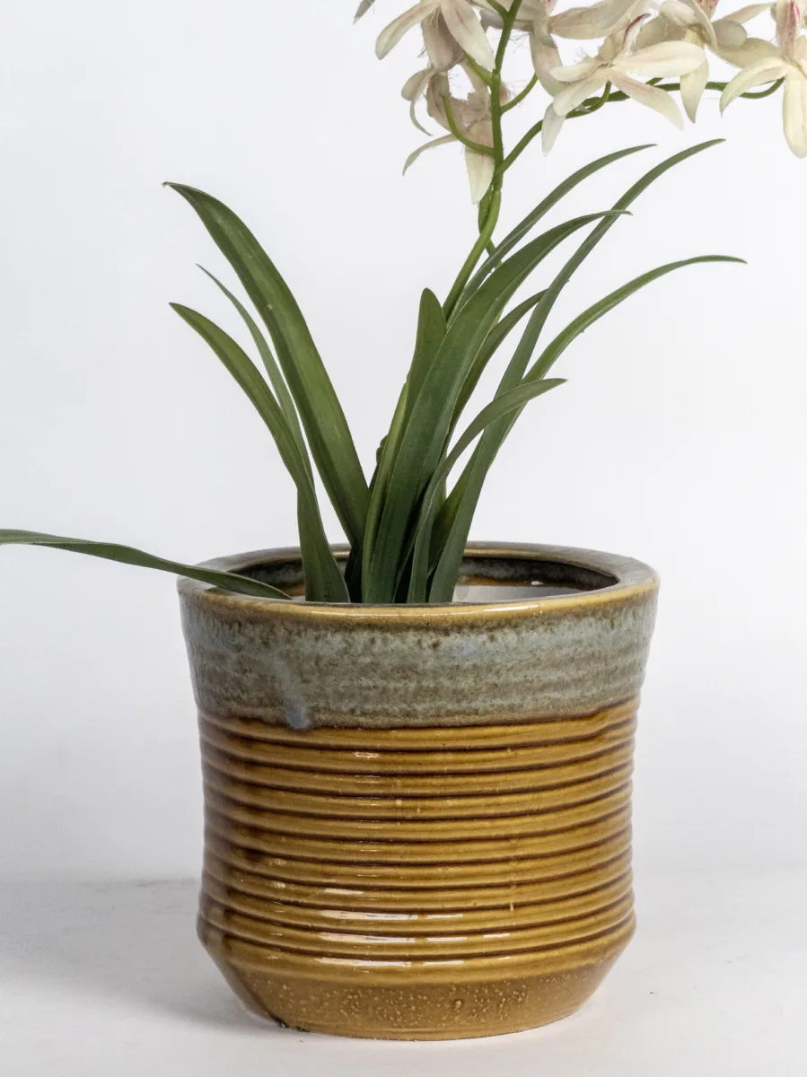 Classic Ceramic Planter — 9" Dia × 6" Height — Primary View