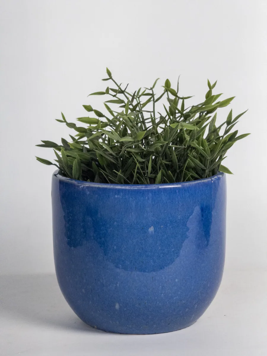 Classic Ceramic Planter Set of 2 (2" Dia) — Primary View
