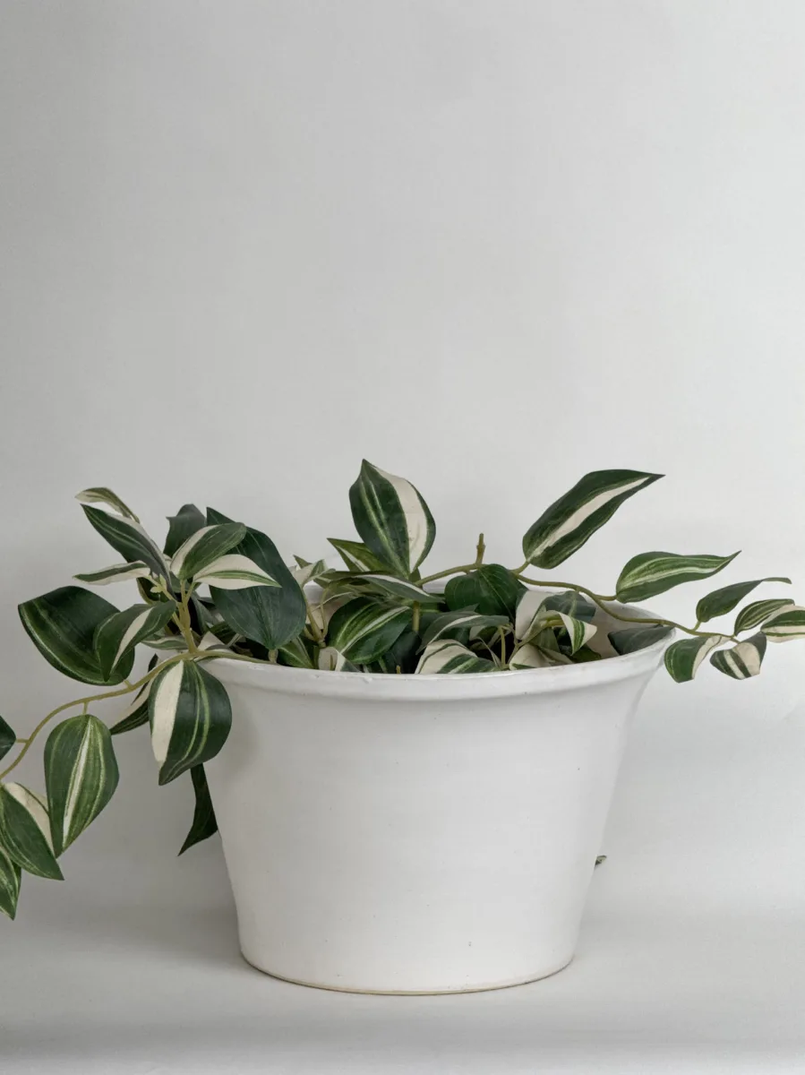 Classic Ceramic Planter Set of 2 (2" Dia) — Primary View