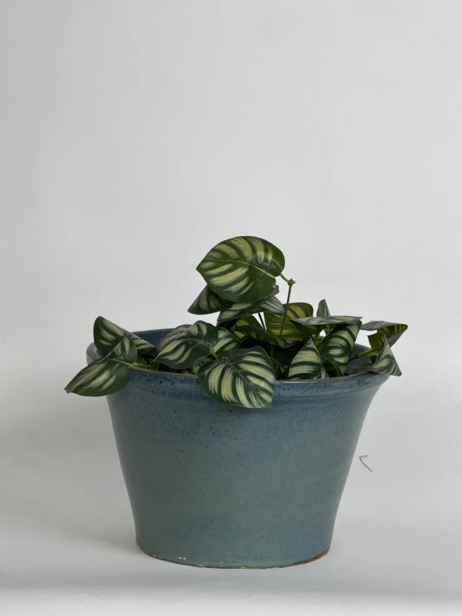Classic Ceramic Planter — 9" Dia × 6.5" Height — Primary View