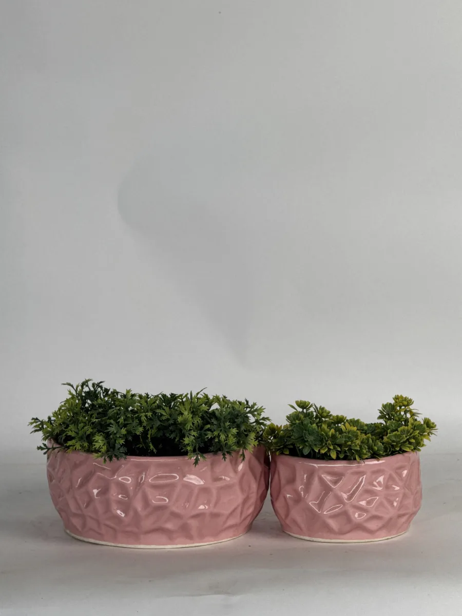 Classic Ceramic Planter — 8" Dia × 3.5" Height — Primary View