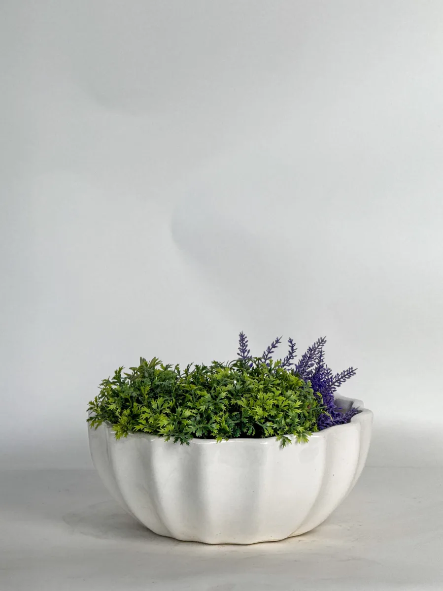 Classic Ceramic Planter — 8" Dia × 3.5" Height — Primary View