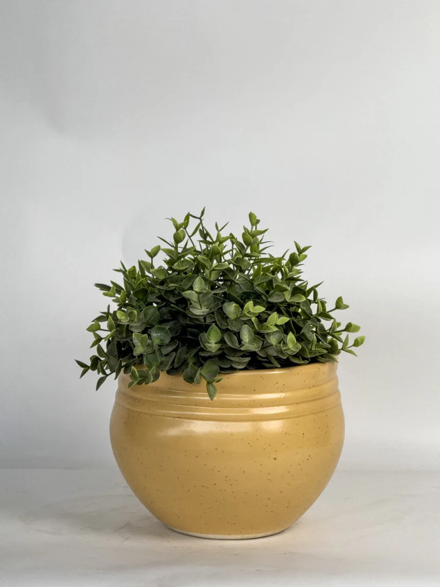 Classic Ceramic Planter — 8" Dia × 7.5" Height — Primary View
