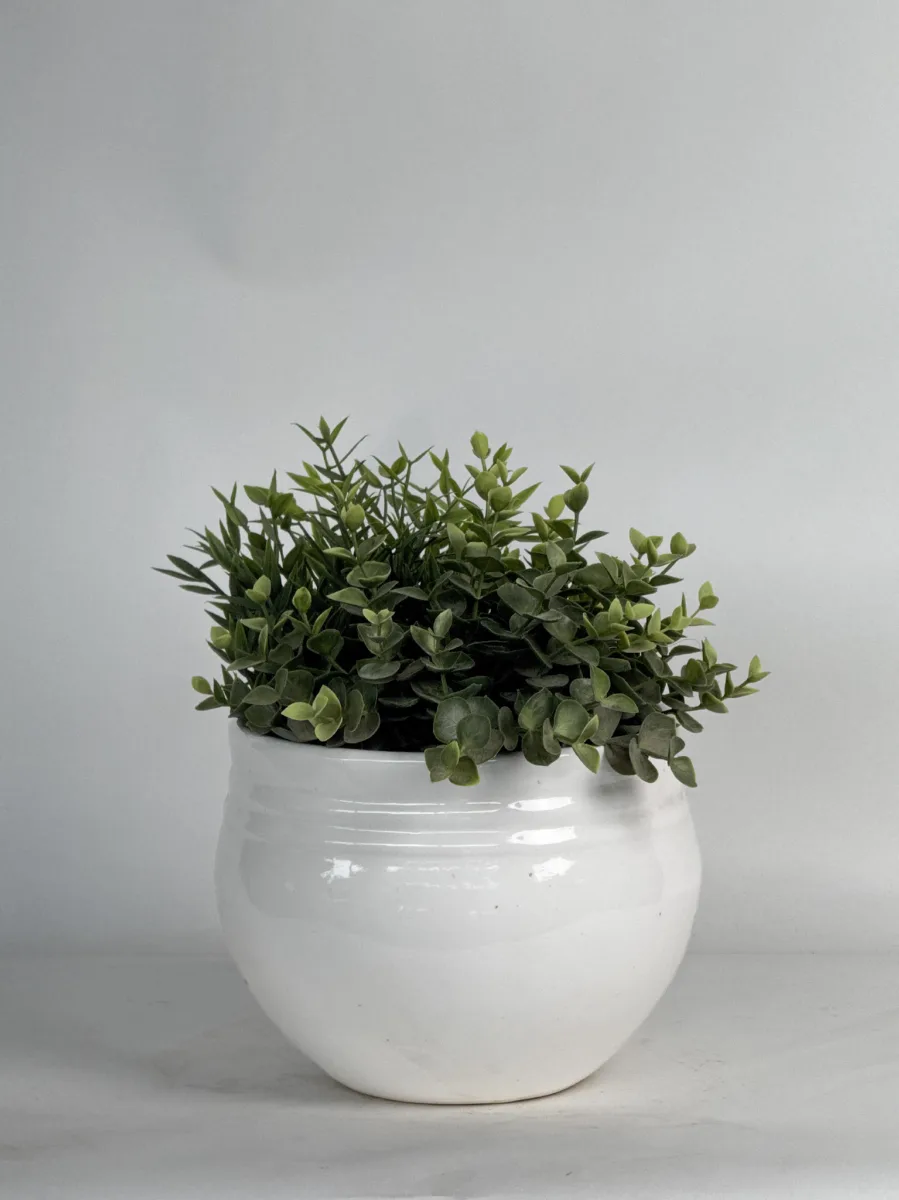 Classic Ceramic Planter — 11" Dia × 7" Height — Primary View