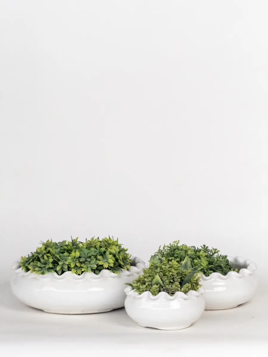 Classic Ceramic Planter — 8" Dia × 8" Height — Primary View