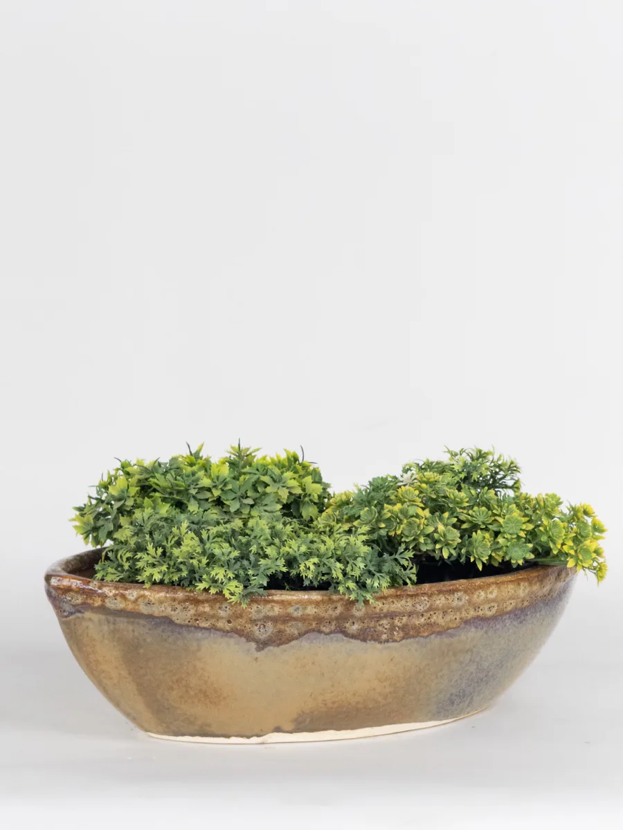 Classic Ceramic Planter — 8" Dia × 6.5" Height — Primary View