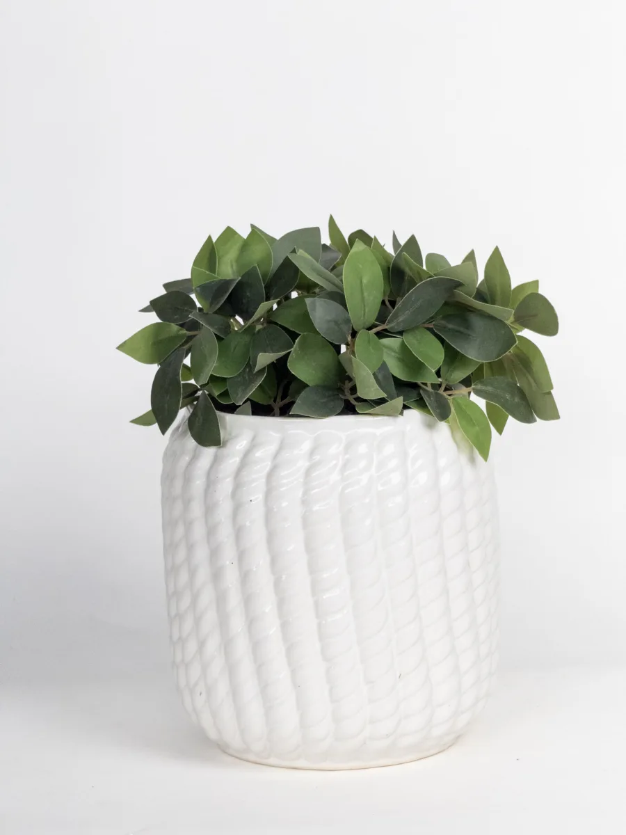 Classic Ceramic Planter — 8" Dia × 6.5" Height — Primary View