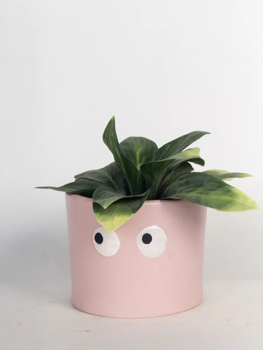 Classic Ceramic Planter Set of 3 (3" Dia) — Primary View