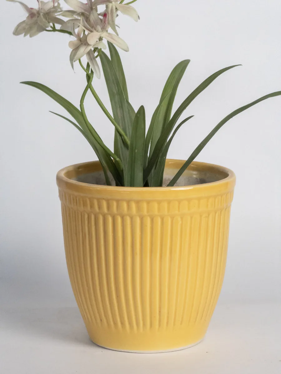 Classic Ceramic Planter Set of 3 (3" Dia) — Primary View