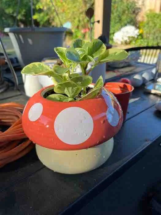 Classic Ceramic Planter — 7" Dia × 7.5" Height — Primary View