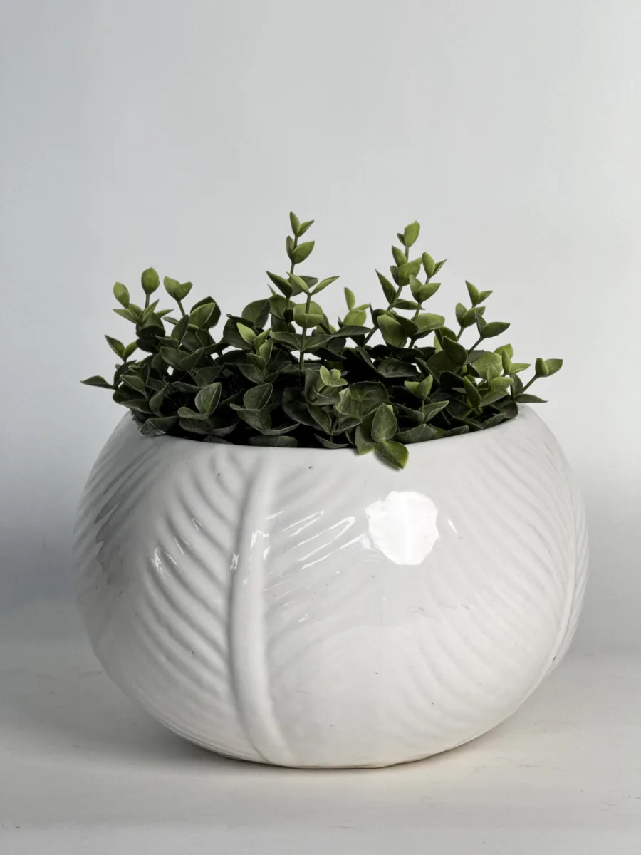 Classic Ceramic Planter — 7.5" Dia × 7.5" Height — Primary View