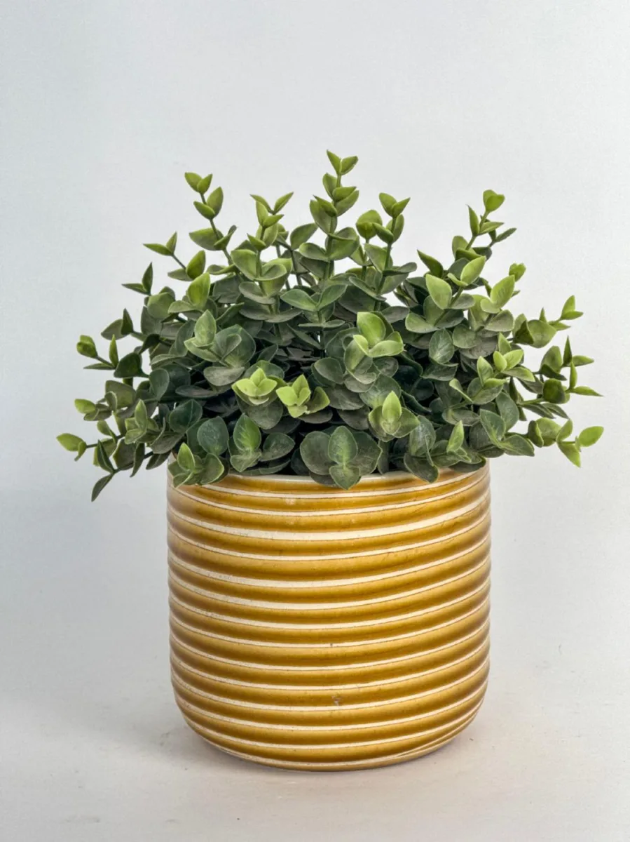 Classic Ceramic Planter — 8" Dia × 7" Height — Primary View
