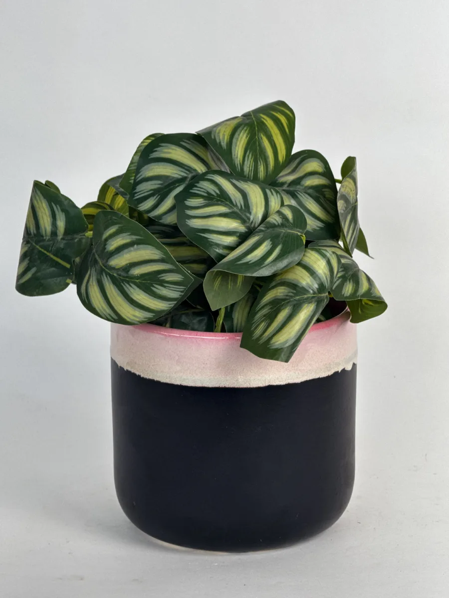 Classic Ceramic Planter — 6" Dia × 5" Height — Primary View