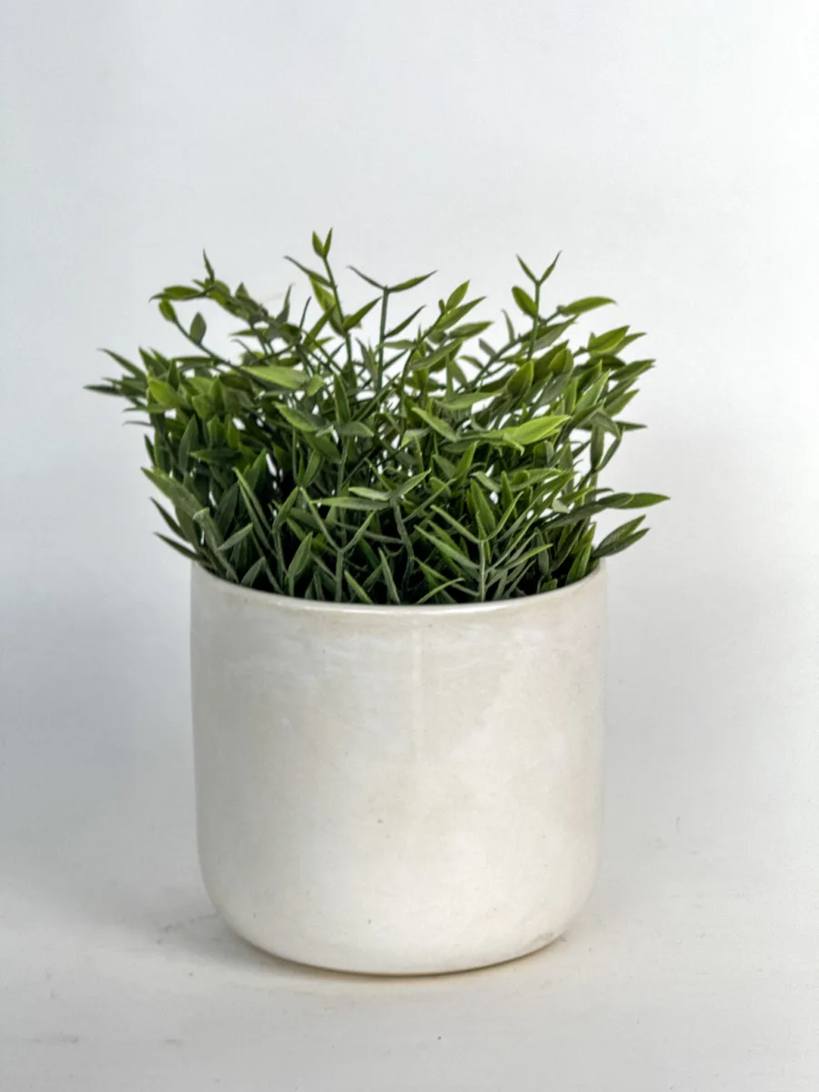 Classic Ceramic Planter Set of 2 (2" Dia) — Primary View
