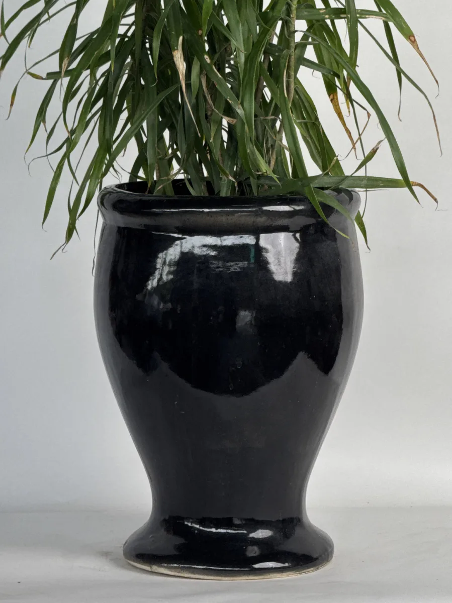 Classic Ceramic Planter Set of 3 (3" Dia) — Primary View
