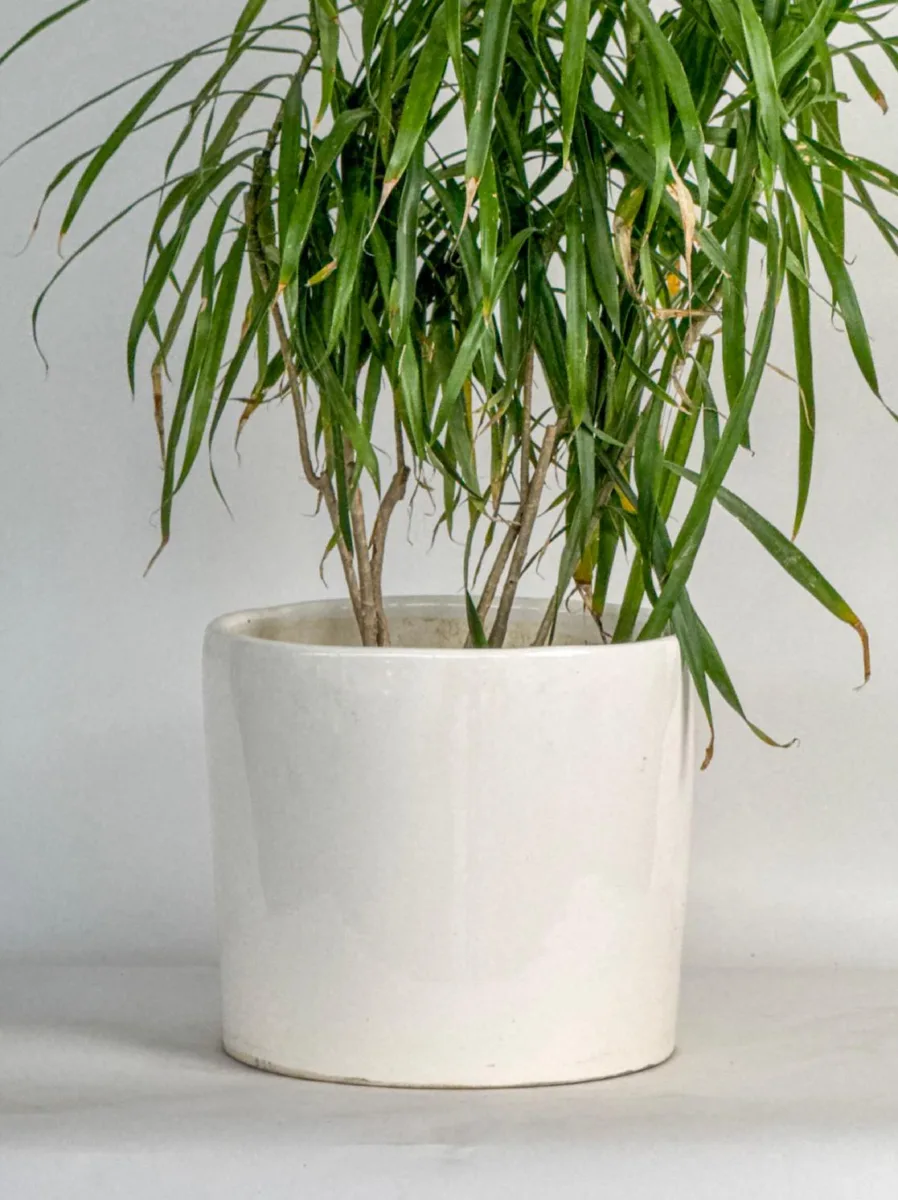 Classic Ceramic Planter — 7.5" Dia × 15" Height — Primary View