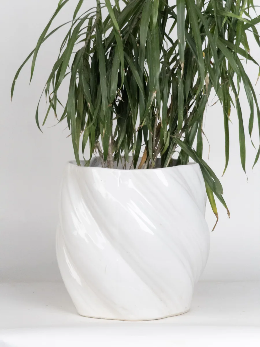 Classic Ceramic Planter Set of 3 (3" Dia) — Primary View
