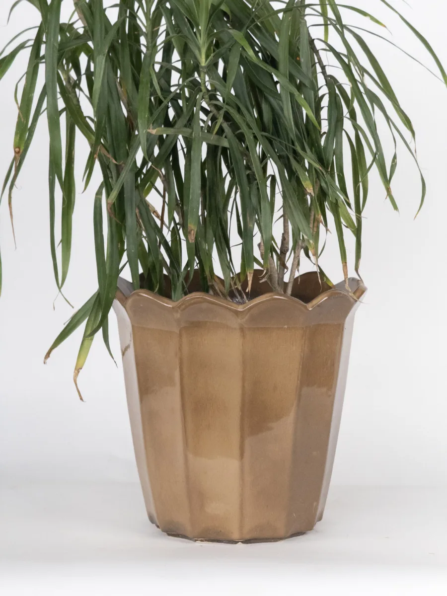 Classic Ceramic Planter Set of 3 (3" Dia) — Primary View